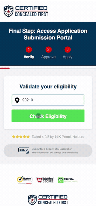 Walkthrough of the concealed carry permit eligibility check